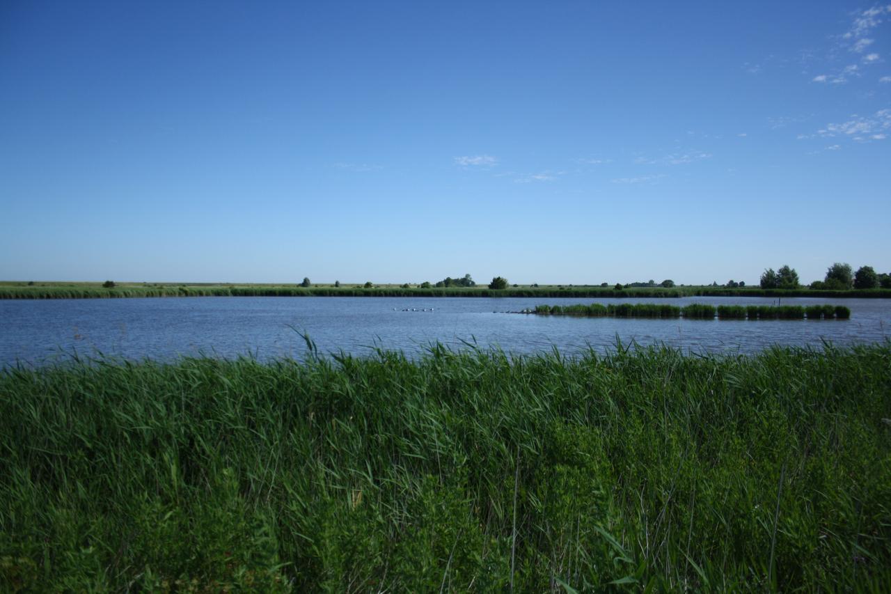 Gulfhof Greetsiel Apartment ภายนอก รูปภาพ
